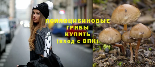 шишки Верхний Тагил