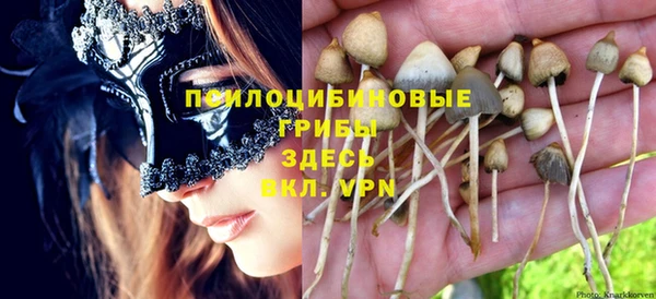 спиды Верея