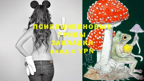 спиды Верея