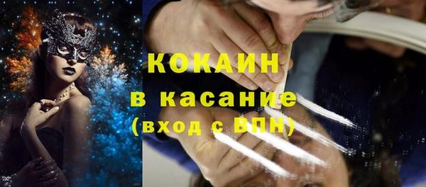 шишки Верхний Тагил