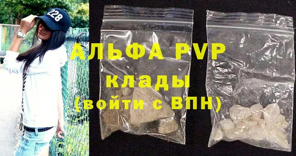 спиды Верея