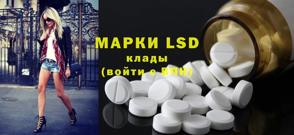 спиды Верея