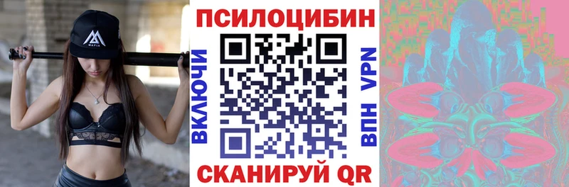 Псилоцибиновые грибы Cubensis  мега tor  Каменск-Уральский  хочу  